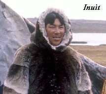 JONQUE